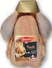 Poule au sol - LE GAULOIS dans le catalogue Super U