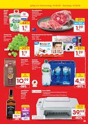 PC im Netto Marken-Discount Prospekt in Kassel Aktueller Netto Marken-Discount Prospekt mit PC, "Aktuelle Angebote", Seite 51