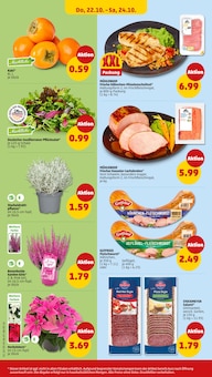 Pflanzen im Penny Prospekt "Wer günstig will, muss Penny." mit 44 Seiten (Aachen)