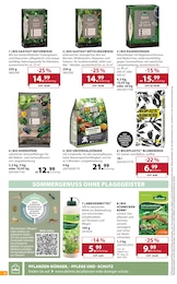 Dehner Garten-Center Ameisenspray im Prospekt 