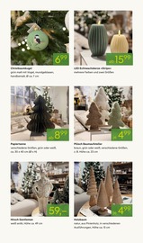 Aktueller Pflanzen Kölle Prospekt mit Papier, "SCHÖNSTER WEIHNACHTSMARKT WEIT UND BREIT", Seite 5