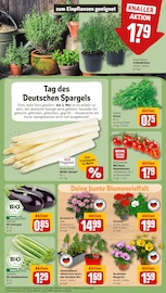 Ähnliche Angebote wie Salatpflanze im Prospekt "Dein Markt" auf Seite 7 von REWE in Saarbrücken