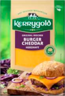 Irischer Käse im Angebot bei EDEKA in Hamburg Irischer Käse Angebote von Kerrygold bei EDEKA Hamburg für 1,49 €