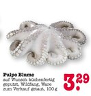 Aktuelles Pulpo Blume Angebot bei E center in Pforzheim ab 3,29 €