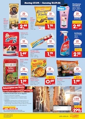 Shampoo im Netto Marken-Discount Prospekt in Pinneberg Aktueller Netto Marken-Discount Prospekt mit Shampoo, "Aktuelle Angebote", Seite 9