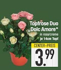 Topfrose Duo Dolc Amore im EDEKA Prospekt Topfrose Duo Dolc Amore von im aktuellen EDEKA Prospekt für 3,99 €