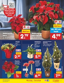 Tannenbaum im aktuellen Netto Marken-Discount Prospekt (Mülheim (Ruhr)) Tannenbaum im Netto Marken-Discount Prospekt "Aktuelle Angebote" mit 54 Seiten (Mülheim (Ruhr))
