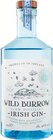 Slow Distilled Irish Gin Angebot in Auderath Slow Distilled Irish Gin im aktuellen Prospekt bei Lidl in Auderath