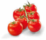 Aktuelles Cocktail Rispentomaten Angebot bei Netto Marken-Discount in Potsdam ab 1,79 €