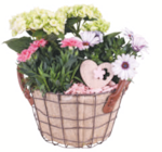 toom Baumarkt Röhrsdorf - Muttertags-Arrangement Angebot im Prospekt Muttertags-Arrangement bei toom Baumarkt im Röhrsdorf Prospekt für 14,99 €