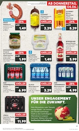 Gewürzgurken im Kaufland Prospekt in Cottbus Aktueller Kaufland Prospekt mit Gewürzgurken, "Hier bin ich richtig", Seite 17