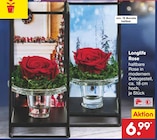 Longlife Rose im Netto Marken-Discount Prospekt Longlife Rose von im aktuellen Netto Marken-Discount Prospekt für 6,99 €