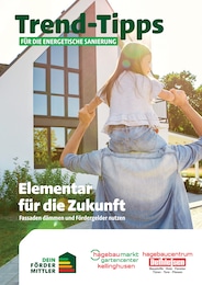 Dethlefsen Baustoffe Prospekt für Itzehoe: "Trend-Tipps für die energetische Sanierung", 10 Seiten, 26.06.2026 - 05.07.2026