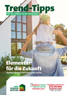 Dethlefsen Baustoffe Prospekt Trend-Tipps für die energetische Sanierung mit 10 Seiten