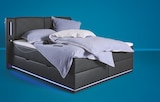 Sconto SB Kiel - Boxspringbett Angebot im Prospekt Boxspringbett bei Sconto SB im Kiel Prospekt für 999,00 €