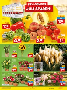 Paprika im aktuellen Netto Marken-Discount Prospekt (Krefeld) Paprika im Netto Marken-Discount Prospekt "Aktuelle Angebote" mit 45 Seiten (Krefeld)