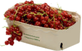 EDEKA Drochtersen - Rote Johannisbeeren Angebot im Prospekt Rote Johannisbeeren bei EDEKA im Drochtersen Prospekt für 2,99 €
