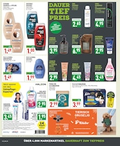 Aktueller Marktkauf Prospekt mit Katzenfutter, "Aktuelle Angebote", Seite 16