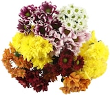 Aktuelle Blumen Angebote bei REWE in Oberhausen Aktuelles Chrysanthemen mit Santini Angebot bei REWE in Oberhausen ab 3,49 €