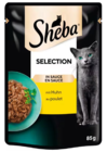 KATZENNAHRUNG im Angebot bei REWE in Erftstadt KATZENNAHRUNG Angebote von Sheba bei REWE Erftstadt für 0,49 €