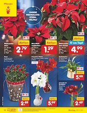 Aktueller Netto Marken-Discount Prospekt mit Weihnachtsstern, "Aktuelle Angebote", Seite 22