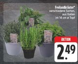 Freilandkräuter Angebote bei EDEKA Würzburg für 2,49 €