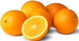 Penny Neuenburg - Oranges Angebot im Prospekt Oranges bei Penny im Neuenburg Prospekt für 1,85 €