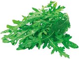 Rucola im Angebot bei REWE in Bergheim Rucola Angebote bei REWE Bergheim für 0,75 €