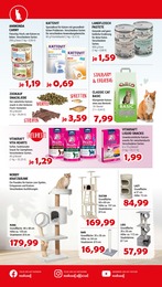 Katzenstreu Angebot im aktuellen Zookauf Prospekt auf Seite 6