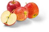 Äpfel rot im Angebot bei Netto Marken-Discount in Saarlouis Äpfel rot Angebote von HEIMAT bei Netto Marken-Discount Saarlouis für 1,49 €