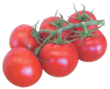 Bio Strauchtomaten im aktuellen V-Markt Prospekt für 1,99 €