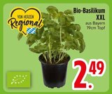 Bio-Basilikum XXL im Angebot bei EDEKA in Kempten Bio-Basilikum XXL Angebote bei EDEKA Kempten für 2,49 €