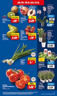 Tomaten im Lidl Prospekt "LIDL LOHNT SICH" mit 68 Seiten (Stuttgart)
