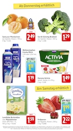 Aktueller EDEKA Prospekt mit Erdbeeren, "Aktuelle Angebote", Seite 14