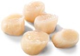 Kammmuschelfleisch im Metro Prospekt Kammmuschelfleisch von MSC im aktuellen Metro Prospekt für 34,23 €