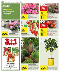 Offre Plantes dans le catalogue Carrefour du moment à la page 40