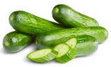 Mini-Gurke im Penny Prospekt Mini-Gurke von Marktliebe im aktuellen Penny Prospekt für 0,35 €