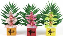Orchidée 2 fleurons - Géant Casino à Angers Orchidée 2 fleurons en promo chez Géant Casino Angers à 5,99 €