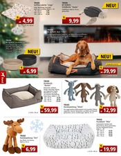 Hundekissen Angebote im Prospekt "Weihnachtsangebote, die begeistern" von ZOO und Co. Hundekissen Angebote im Prospekt "Weihnachtsangebote, die begeistern" von ZOO und Co. auf Seite 2