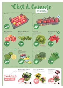 Tomaten im aktuellen V-Markt Prospekt (Regensburg) Tomaten im V-Markt Prospekt "V-Markt einfach besser einkaufen" mit 22 Seiten (Regensburg)