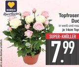 Topfrosen Duo von Edeka Herzstücke im aktuellen EDEKA Prospekt für 7,99 €