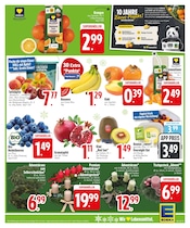 Aktueller EDEKA Prospekt mit Mango, "IM EINSATZ FÜR FRISCHE & VIELFALT.", Seite 5