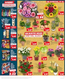 Feuerwerk Angebot im aktuellen Kaufland Prospekt auf Seite 13
