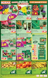 Offre Terreau dans le catalogue Norma du moment à la page 4