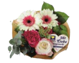 EDEKA Brunsbek - Schmetterlingsorchidee Angebot im Prospekt Schmetterlingsorchidee bei EDEKA im Brunsbek Prospekt für 7,99 €