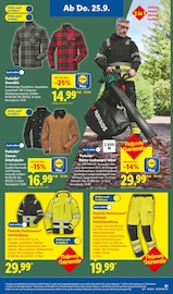 Aktueller Lidl Prospekt mit Hose, "LIDL LOHNT SICH", Seite 31