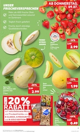 Erdbeeren im Kaufland Prospekt in Stade Aktueller Kaufland Prospekt mit Erdbeeren, "Hier bin ich richtig", Seite 12