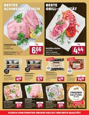 Bratwurst im famila Nordost Prospekt in Stralsund Aktueller famila Nordost Prospekt mit Bratwurst, "besser als gut!", Seite 3
