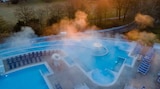 Boutique Hotel Diana inkl. Europa-Therme  im aktuellen Lidl Prospekt für 79,00 €