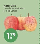 Apfel Gala im aktuellen V-Markt Prospekt für 1,79 €